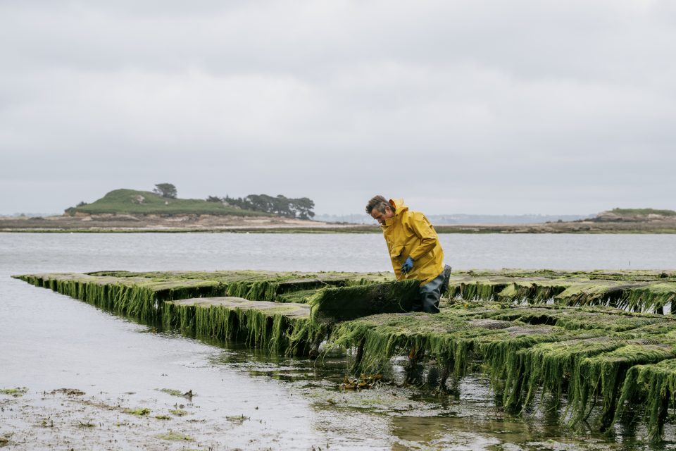BRE10: Marine Interoperability: Face the Challenge in the Bay of Morlaix