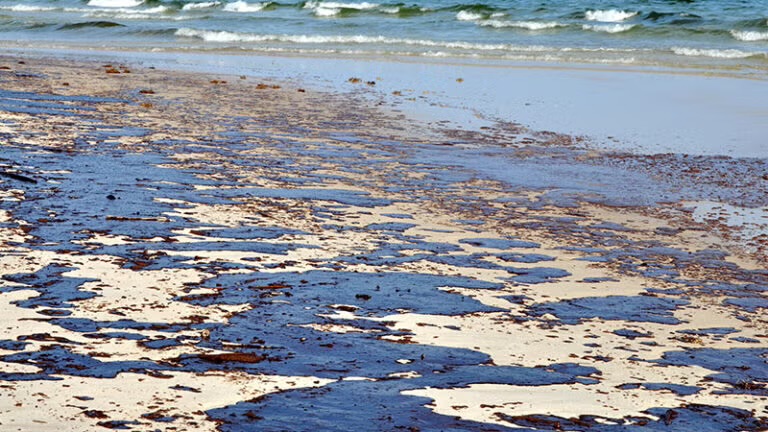 CAD03: Impact of a potential oil spill on Cadiz coast