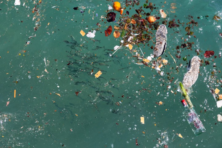 CAP01: PLASTIC2PURPOSE - Turn Waste into Insight & Opportunity