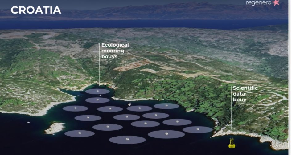SPL02: Regeneration of sea, analyisis od data for asorbtion of Co2