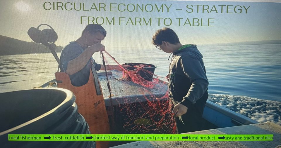 SPL04: Tides of Change: Exploring Marine Biodiversity & Invasive Species