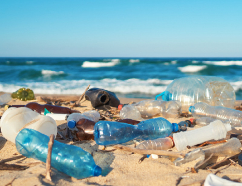 LRO04 - Raise awareness of micro-waste collection on beaches || recyclage des micro et macro déchets des plages