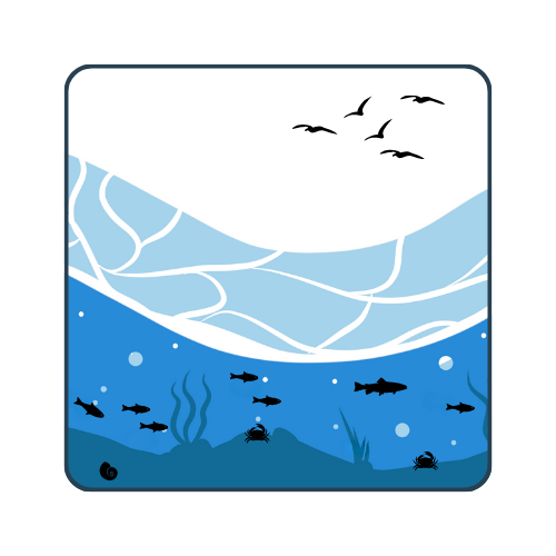 RIM03: Migration of certain species in the St. Lawrence River