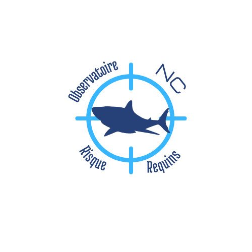 NOU03 - Shark risk assessment and awareness
