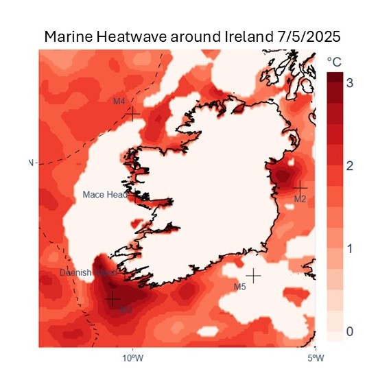 ORK03 AI-Driven Analysis of Climate Impacts on Coastal Ocean Phytoplankton Biodiversity
