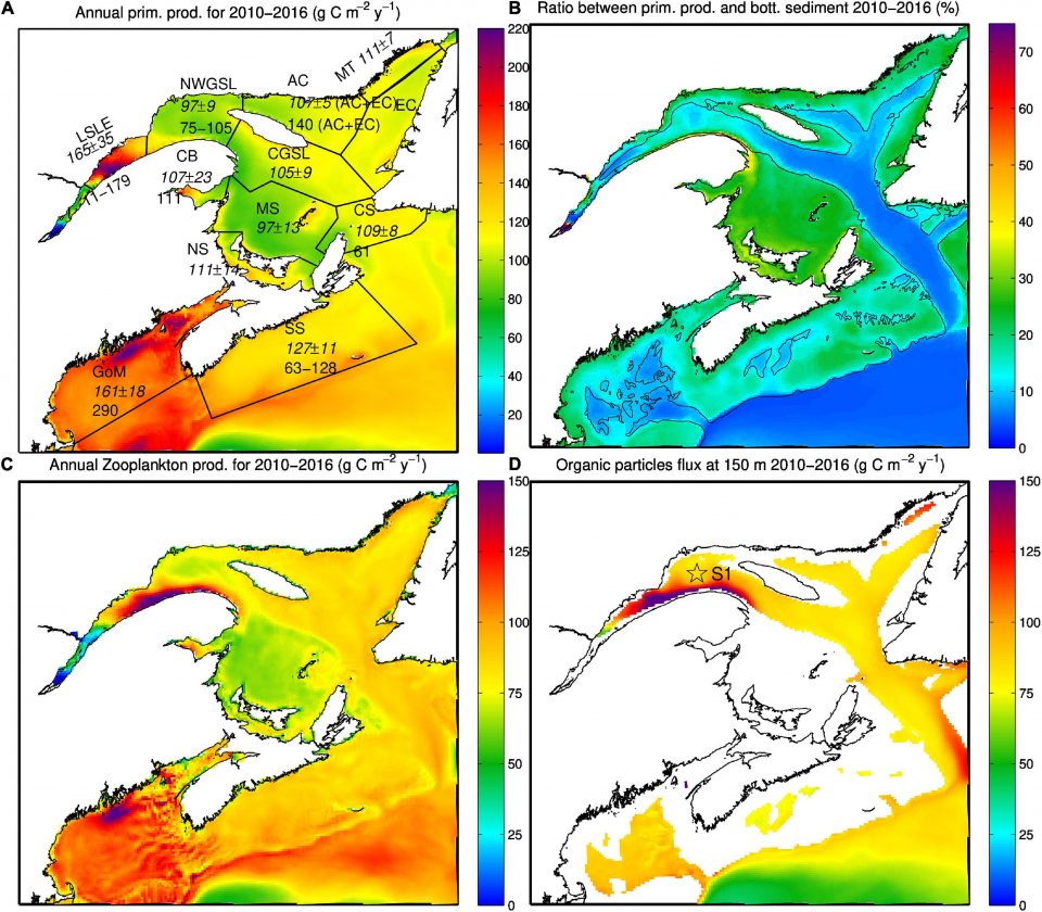 RIM02: Data under pressure: deciphering changes in the Gulf of St. Lawrence / Données sous pression: décrypter les changements du golfe du Saint-Laurent