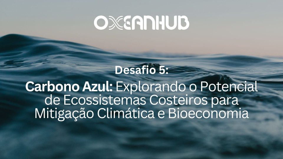 SAL02: Blue Carbon: Exploring the Potential of Coastal Ecosystems for Climate Mitigation and the Bioeconomy
