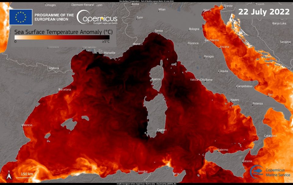 TLN01 - Detection and monitoring of marine heatwaves in near real time
