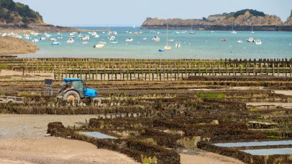 Biodiversité et bioressources marines